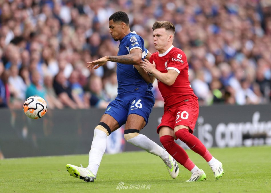 赛视作证明 赛视作证明