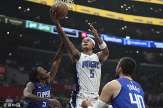 网站后搜索 网站后搜索